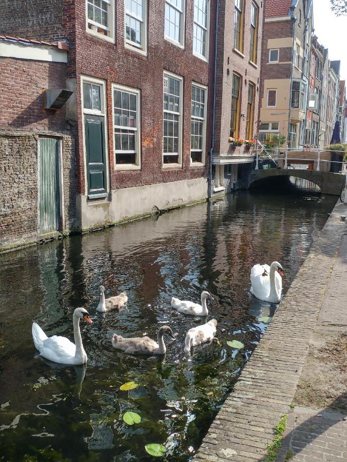 De Vliegende Vos Het Geboortehuis Van Johannes Vermeer Delft Eksteriør billede